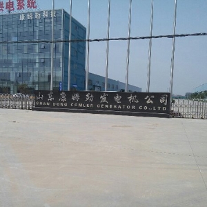 山東康姆勒發(fā)電機公司